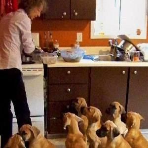 Meet your Posher, Susan